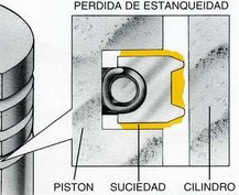 Mejorador de Compresión